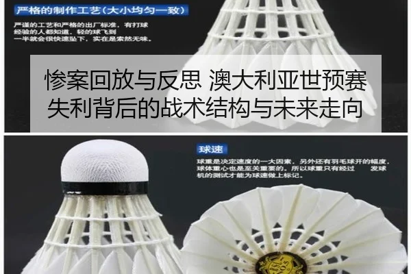 惨案回放与反思 澳大利亚世预赛失利背后的战术结构与未来走向